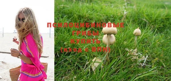 ешки Белоозёрский