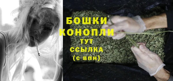 a pvp Белокуриха